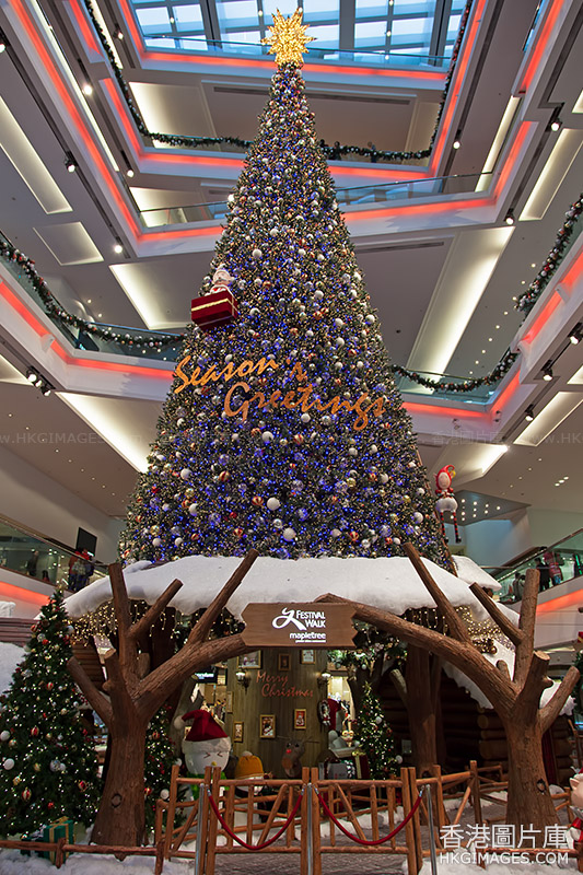 2013又一城室內聖誕樹 (hkgimages-20131203-172943)