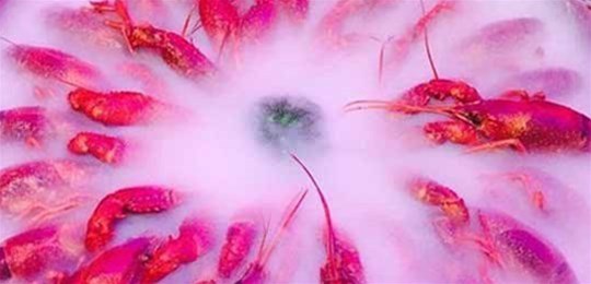 山西高純氬使用的注意事項是什么？